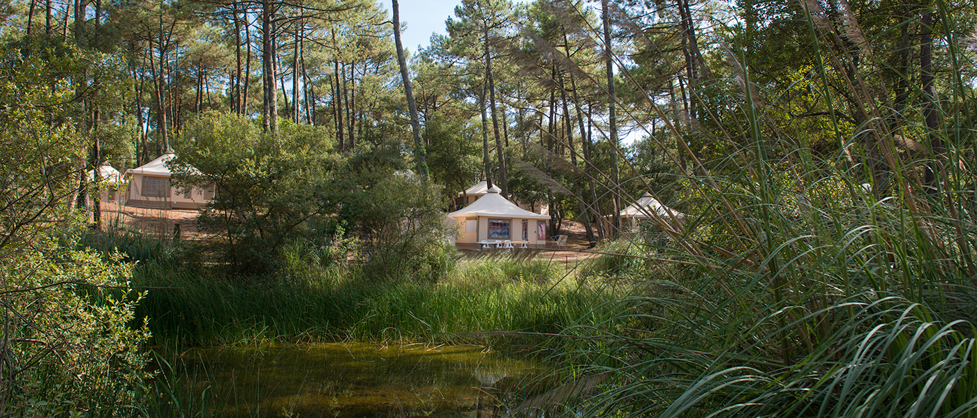 Camping Domaine de Fierbois, camping Capbreton, Nouvelle-Aquitaine - 6