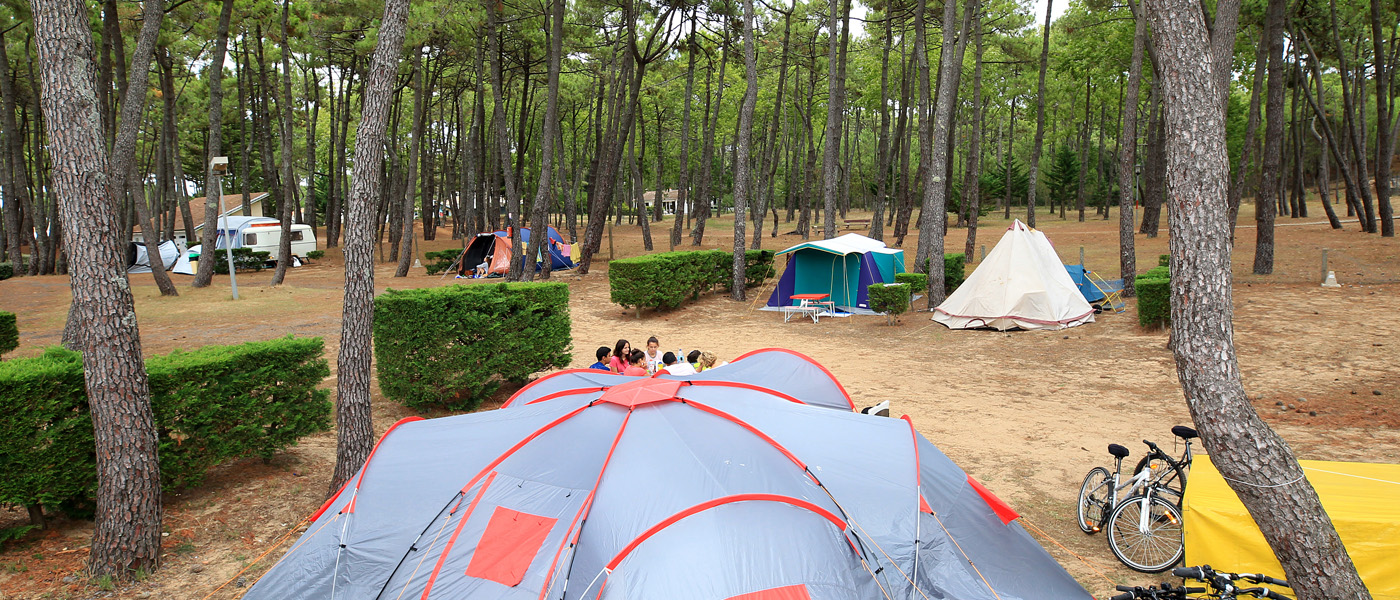 Camping La Grière, camping La Tranche-sur-Mer, Pays de la Loire - 4