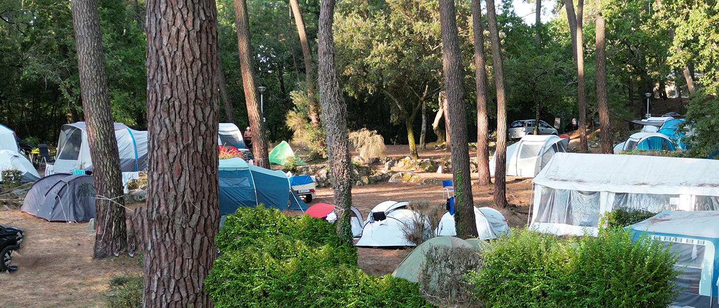 Camping Domaine de Montcalm, camping Les Mathes, Nouvelle-Aquitaine - 13