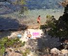 Camping Les Mimosas Le Lavandou Var