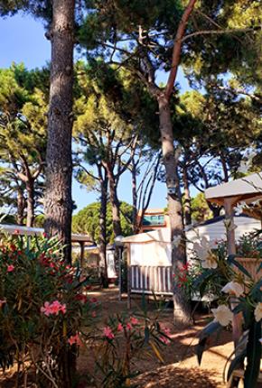 Camping Neptuno Pals Espagne Costa Brava