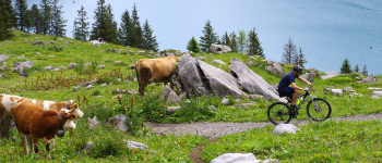 Vignette Alpes du Sud