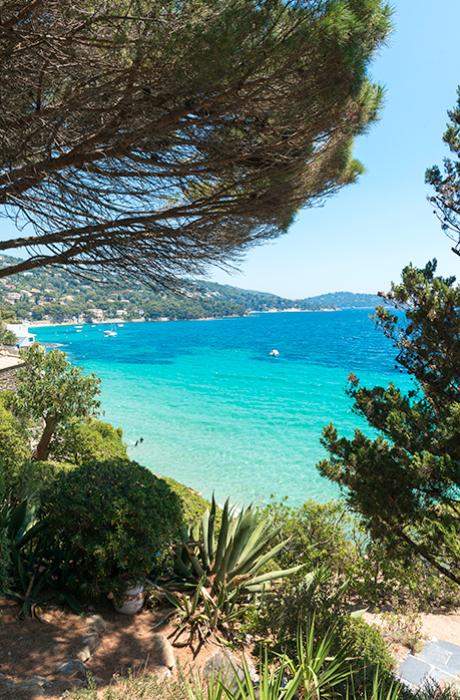 Camping Les Mimosas Le Lavandou Var