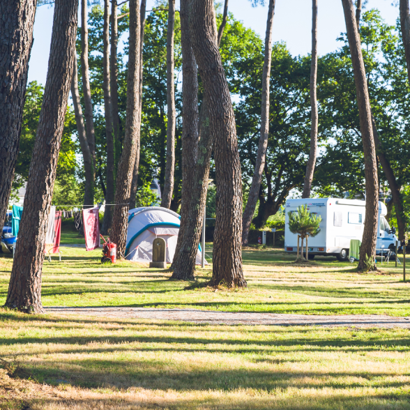 emplacement campeur sous les arbres