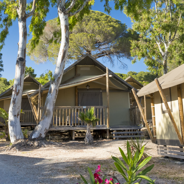 LODGE JUNGLE
