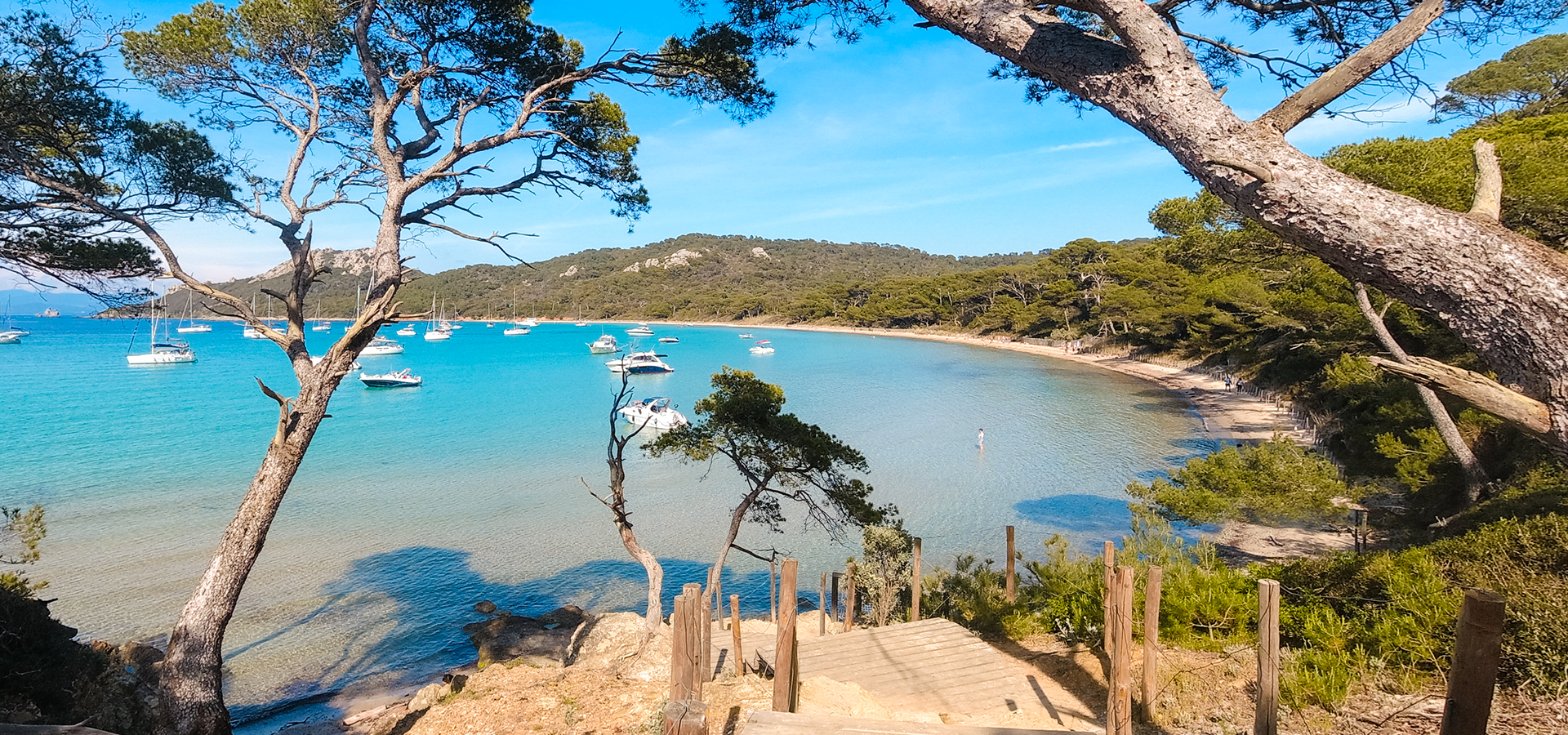 Crique île de Porquerolles à Hyères dans le Var