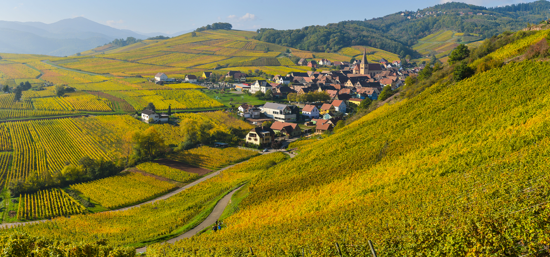 ALSACE ET ROUTE DES VINS