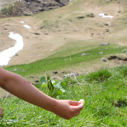Camping pleine nature
