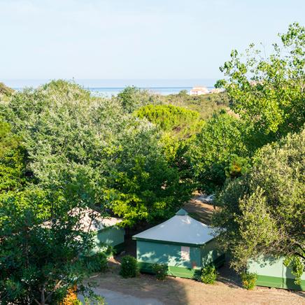 Camping l'Avéna Sartène Corse