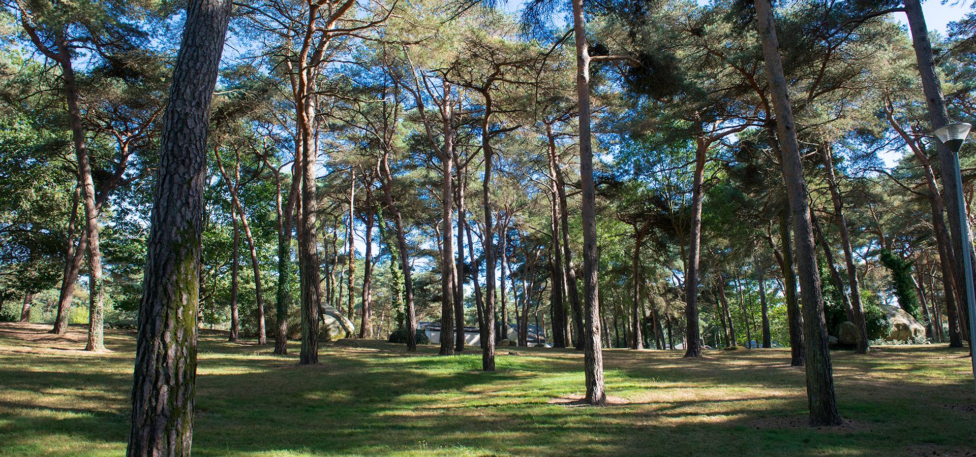 Camping Domaine de la Pinède Bretagne