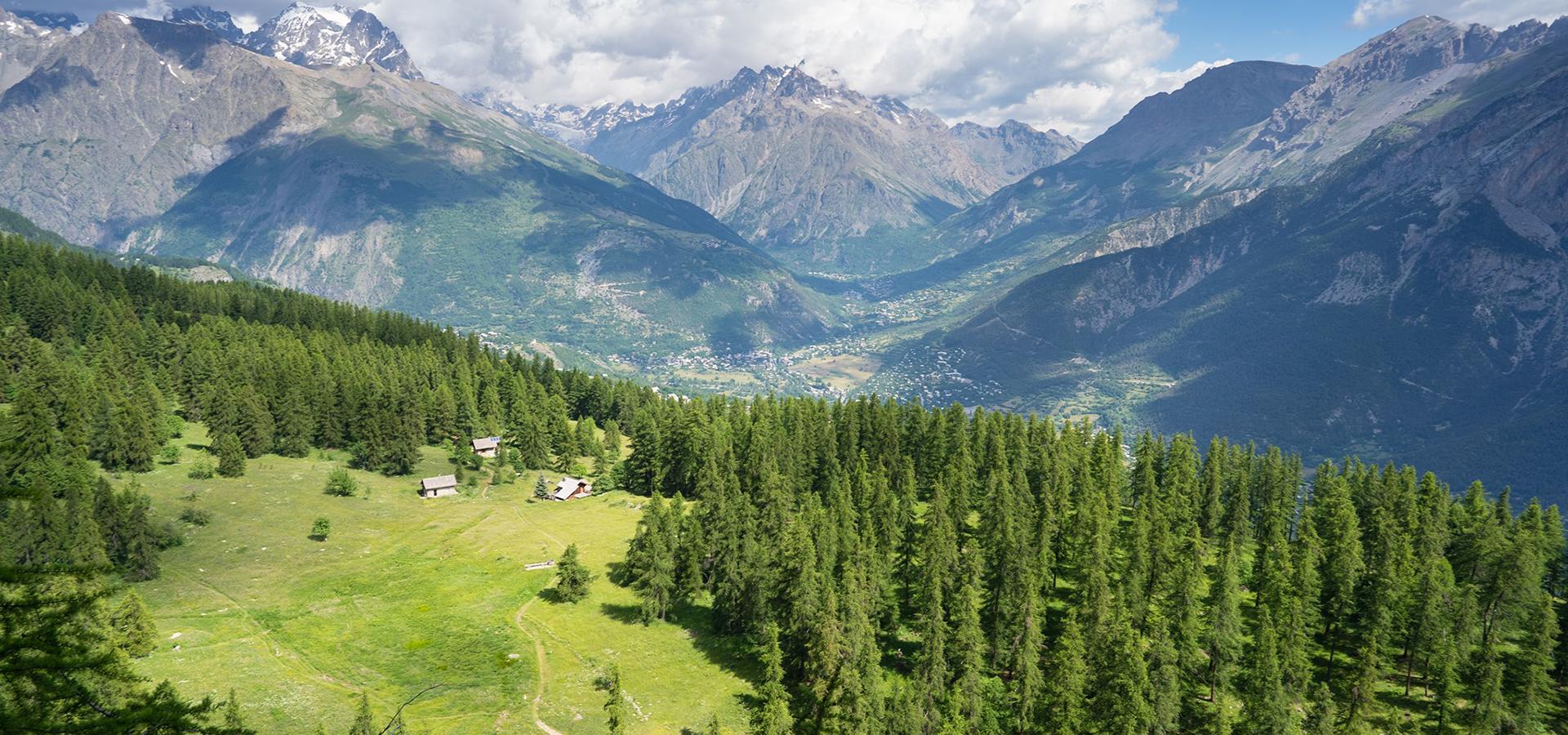 Camping Les Vaudois Les Vigneaux Alpes du Sud