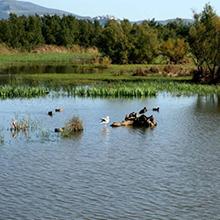 Camping Castell Montgri L'Estartit Espagne Costa Brava